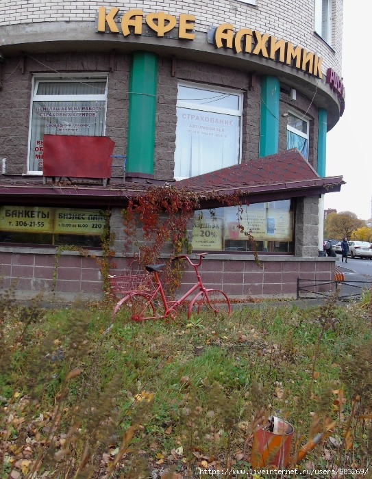 DSC04169 (543x700, 350Kb)