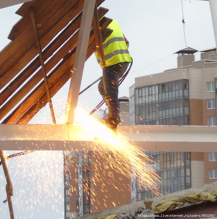 DSC04184 (693x700, 362Kb)