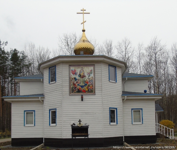 DSC04221 (700x593, 301Kb)