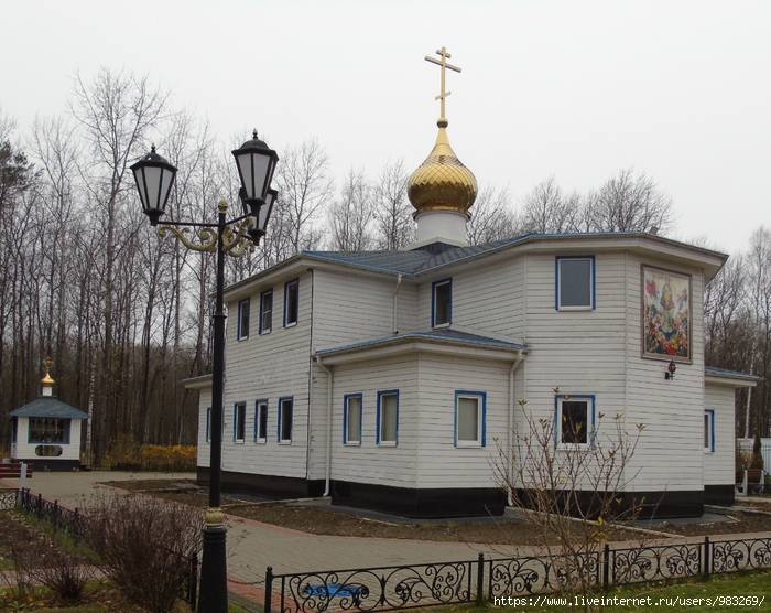 DSC04225 (700x556, 323Kb)