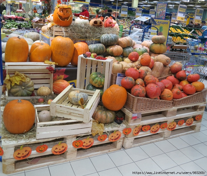 IMG_2701 (700x595, 436Kb)