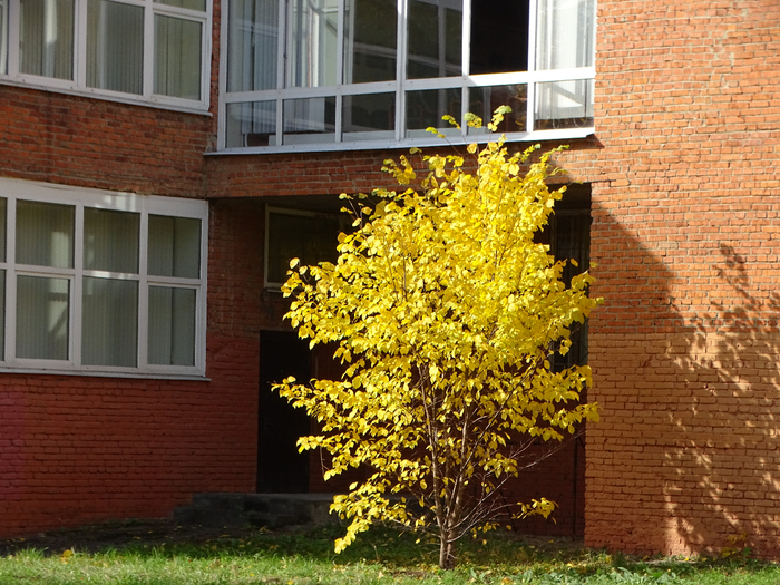 DSC00034 (700x525, 551Kb)