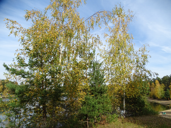DSC00070 (700x525, 636Kb)