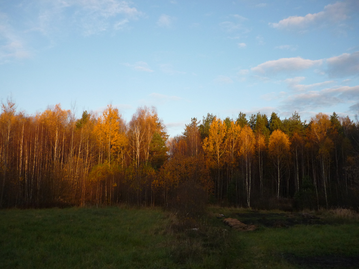 P1250313 (700x525, 362Kb)