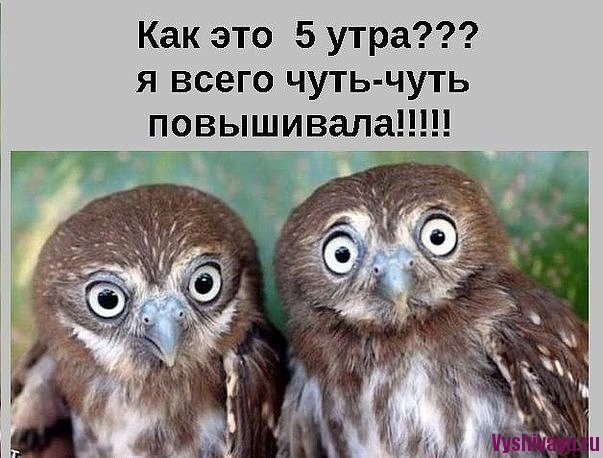 4267534_image8 (603x458, 76Kb)