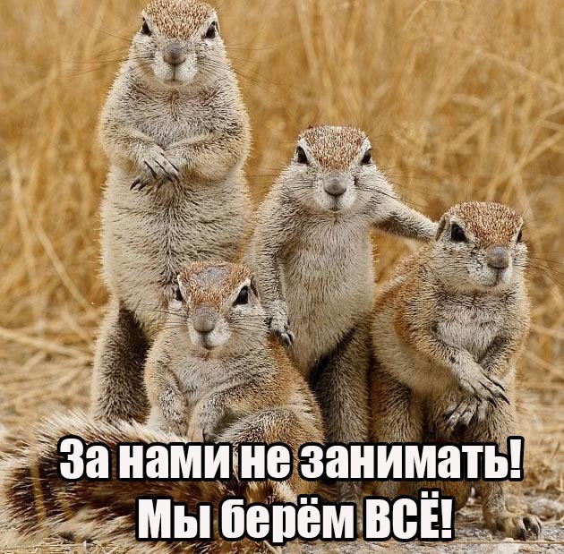4267534_EygWkISRo94 (630x619, 127Kb)