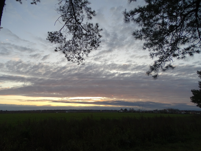 DSC00037 (700x525, 368Kb)