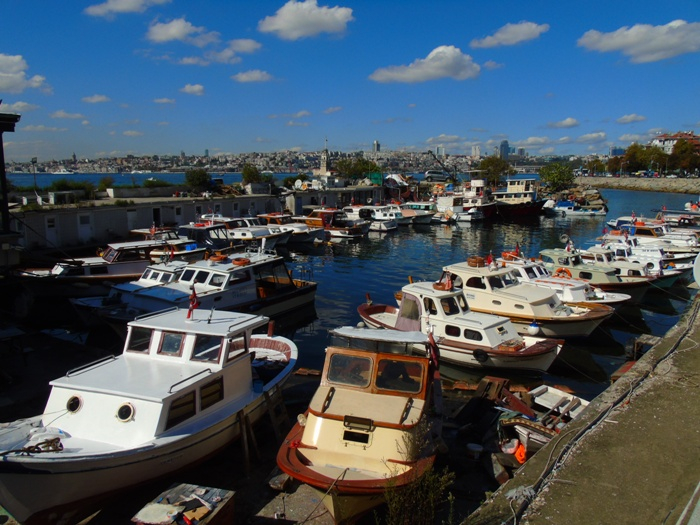 DSC02002 (700x525, 404Kb)