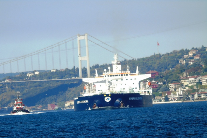 DSC02084 (700x467, 312Kb)