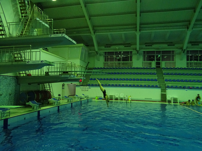 DSC00079 (700x525, 448Kb)