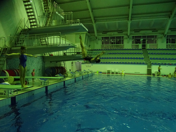 DSC00098 (700x525, 443Kb)