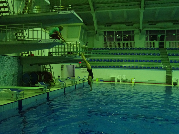 DSC00140 (700x525, 429Kb)