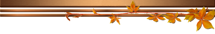 1 (148) (700x110, 74Kb)