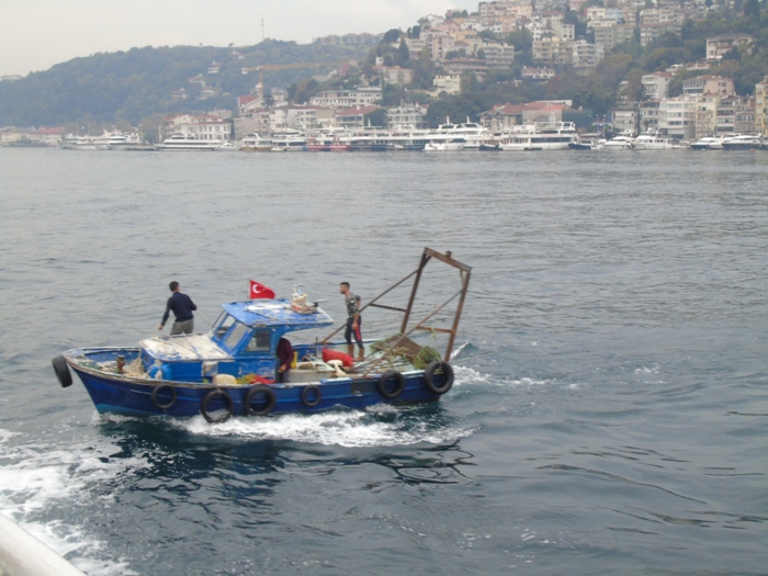 DSC02197 (700x525, 338Kb)