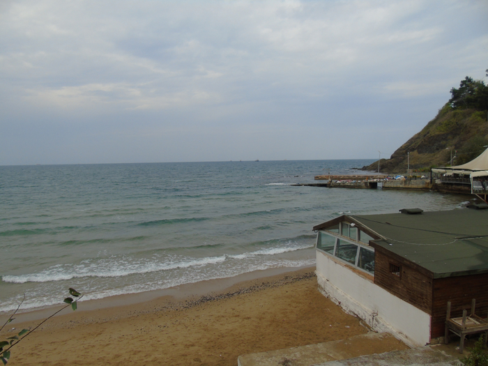 DSC02253 (700x525, 371Kb)