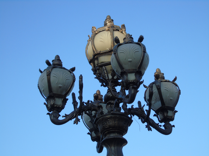 DSC02345 (700x525, 340Kb)