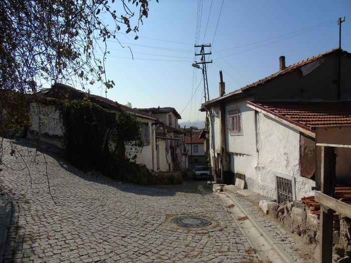 DSC02422 (700x525, 511Kb)