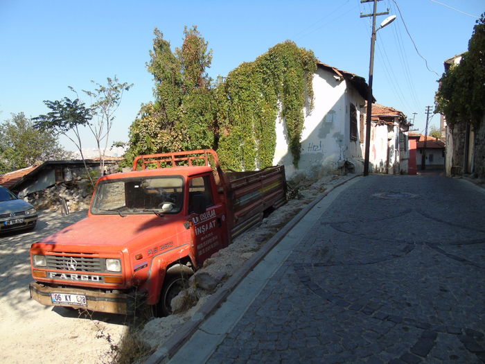 DSC02436 (700x525, 509Kb)