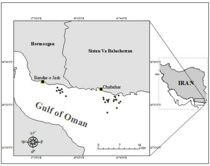 Map-of-the-study-area-Oman-Sea-Bandar-e-Jask-and-Chabahar (700x551, 155Kb)