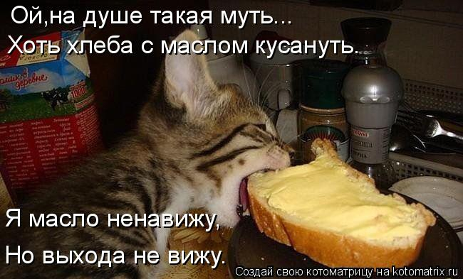 kotomatritsa_r (650x393, 199Kb)