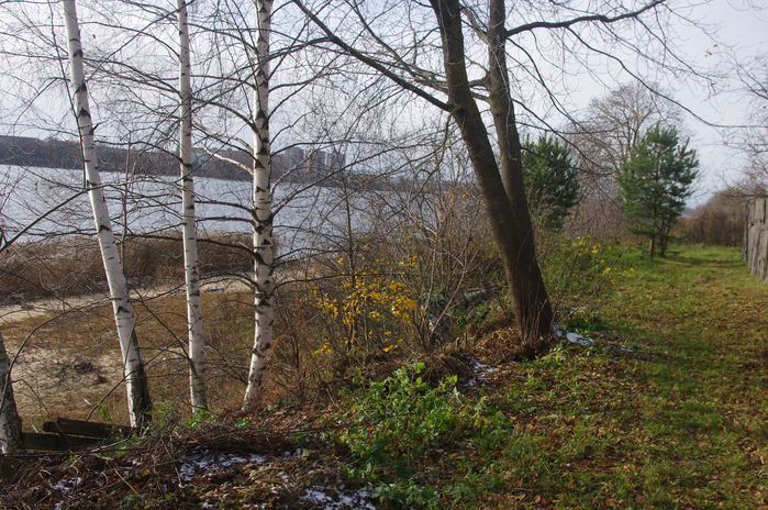 IMGP3842 (700x464, 577Kb)