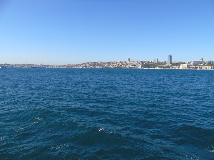 DSC02602 (700x525, 309Kb)