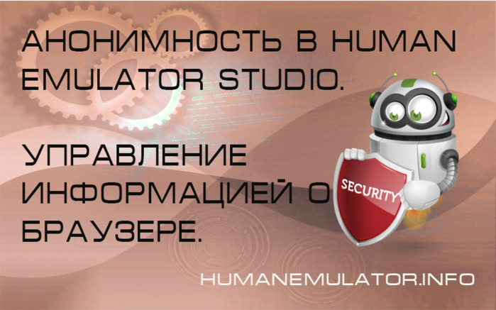 6654340_anonim_set_browser_settings (700x437, 368Kb)