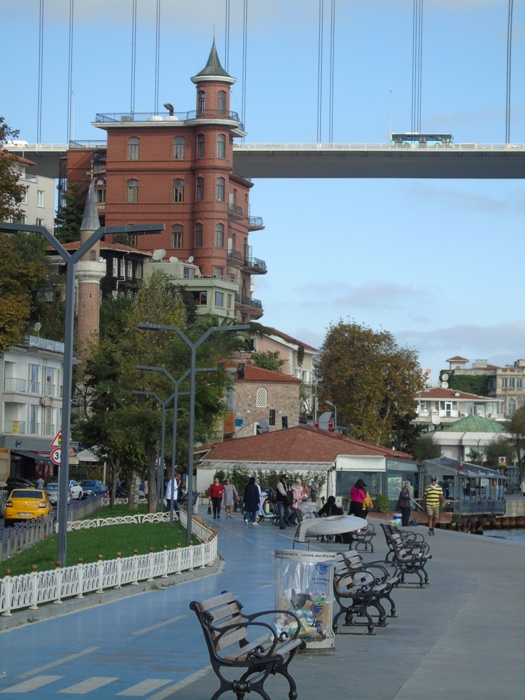 DSC02849 (525x700, 350Kb)