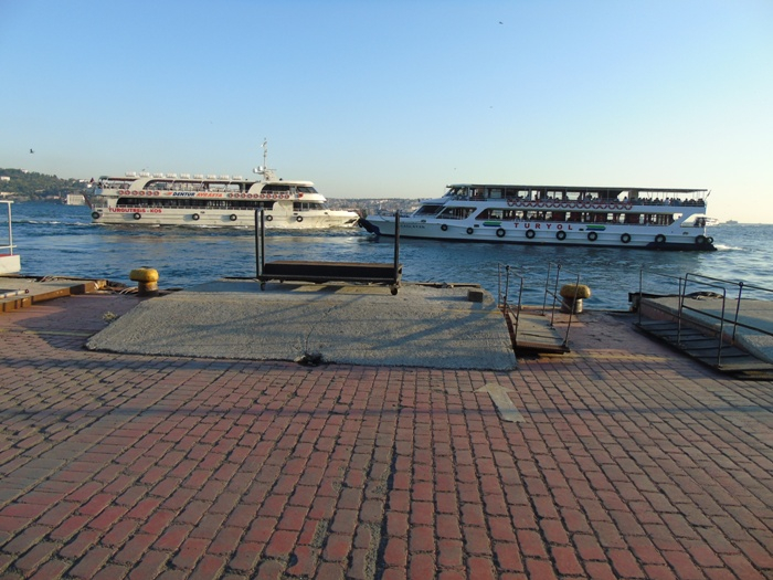 DSC03045 (700x525, 363Kb)