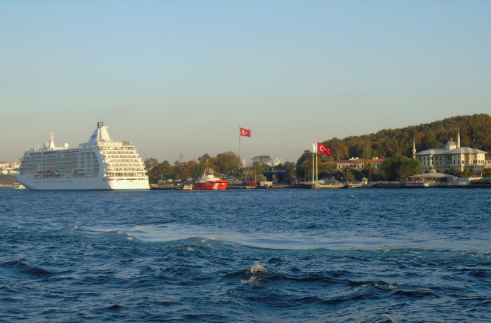 DSC03087 (700x461, 284Kb)