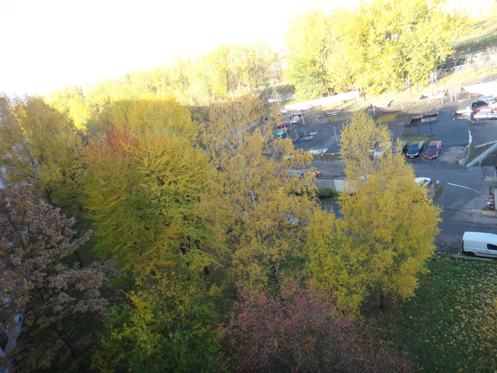 DSC07400 (700x525, 460Kb)