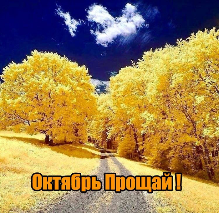 вы (700x682, 688Kb)