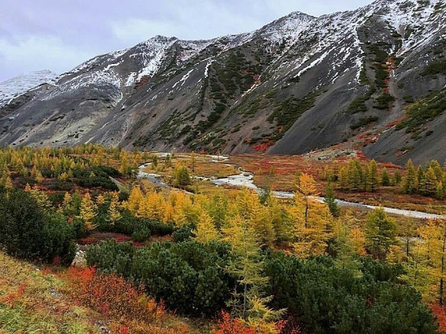 image (96) (640x480, 137Kb)