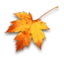 leafs (421x408, 42Kb)