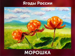 5107871_MOROShKA (250x188, 99Kb)