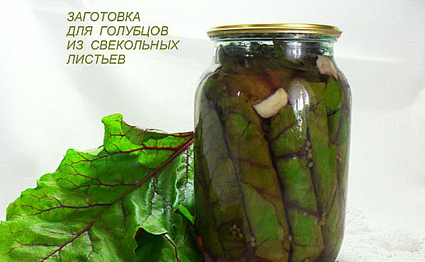 2222299_nezhnyegolubcyizsvekolnykhlistev21 (600x370, 57Kb)