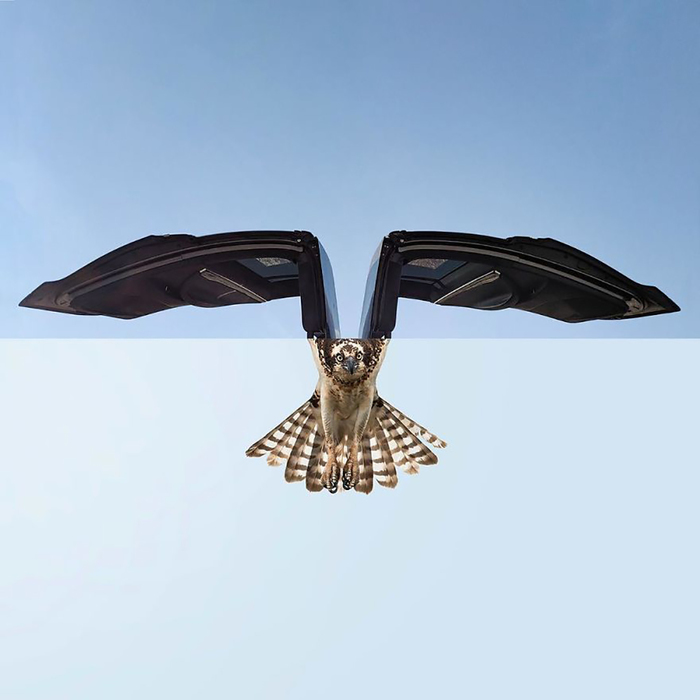 image708689_2673acc6f5aba7908833a648a51619ef (700x700, 130Kb)