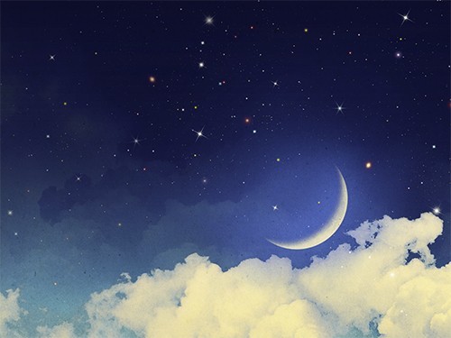 381 (500x375, 35Kb)