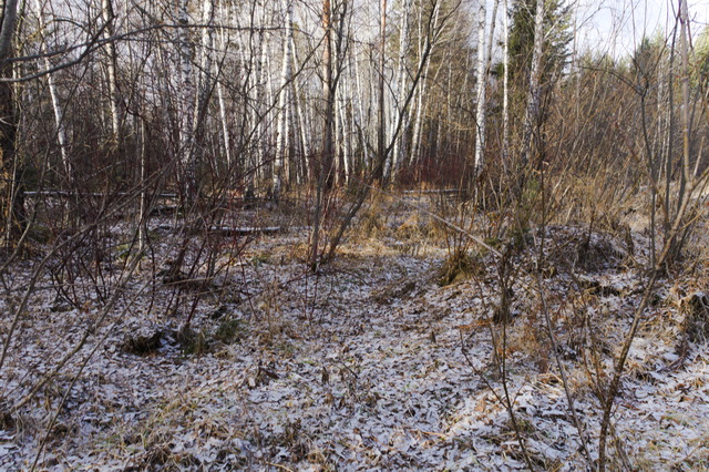 DSC01902 (640x426, 459Kb)