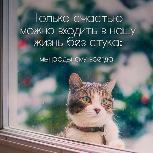 X9DoLZZ3ofM (604x604, 320Kb)