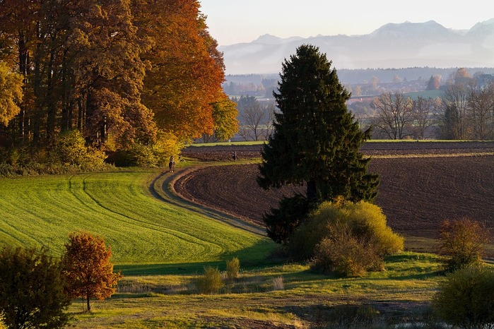 bavaria-2779823_960_720 (1000x766, 144Kb)