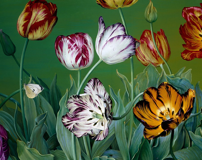 English Florist Tulips, detail (700x553, 509Kb)