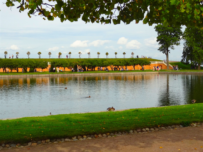 DSC05065 (700x525, 527Kb)