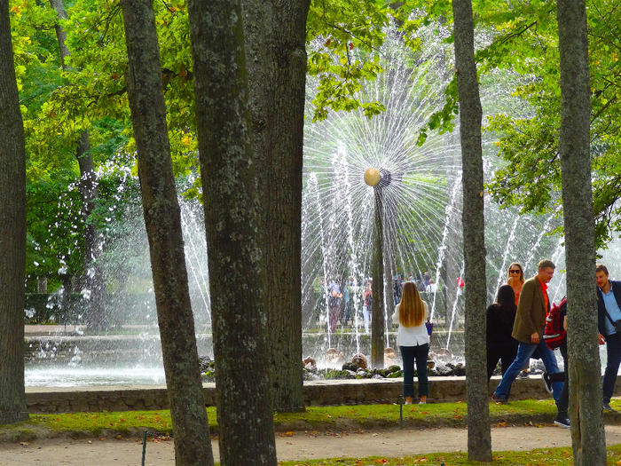 DSC05086 (700x525, 625Kb)