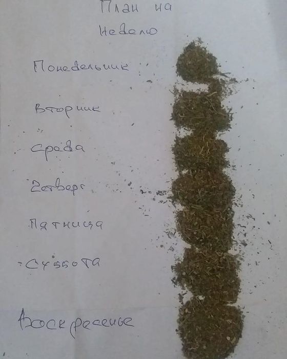 plan (560x700, 40Kb)