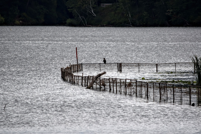 s14 (700x466, 340Kb)