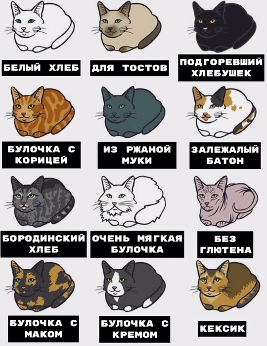 котики и хлебушек (540x700, 269Kb)