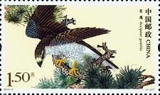 Northern-Goshawk-Accipiter-gentilis (225x134, 20Kb)