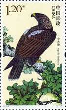Imperial-Eagle-Aquila-heliaca (134x225, 23Kb)