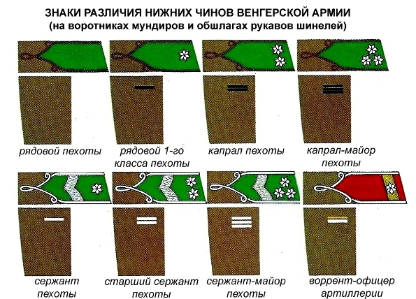 Карта знаков отличия